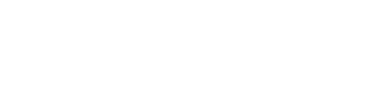 RollApp